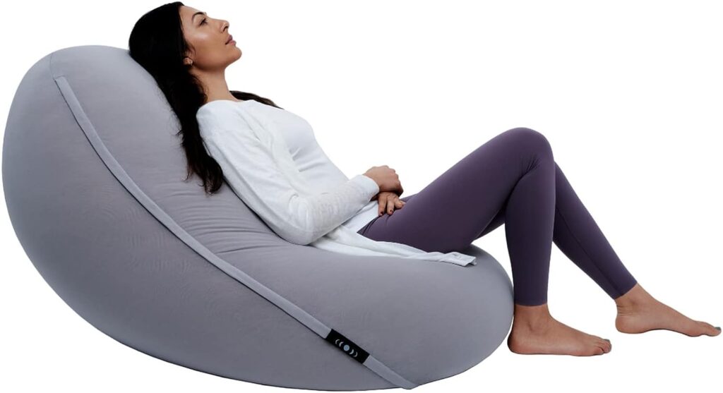 ergonomics-bean-bag-chair-for-adults
